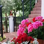 Ankica Apartman *