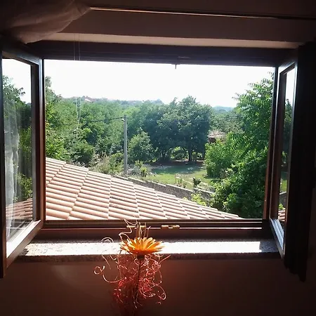 Apartment Ankica *